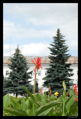 Plac Obrońców Warszawy
