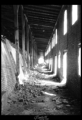 Stara cegielnia w Górach
Black Mist
