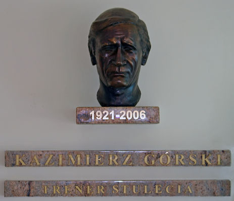 Patron stadionu płockiej Wisły
