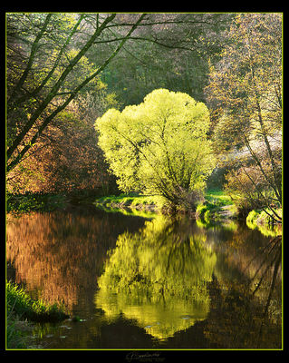 Skrwa - wczesną wiosną
[color=green]Fotomontaż[/color]
