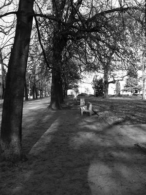 Park - Plac Obrońców Warszawy
