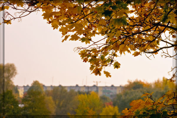 Jesienne widoki 1
[i]Wedrówki po terenach mniej znanych[/i]
