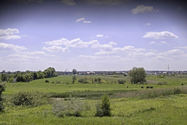 Widok na Radziwie - cześć wsch.
