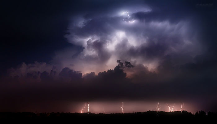 Komórka burzowa
Maszewo - Stara Biała 2-3.VII.2009
