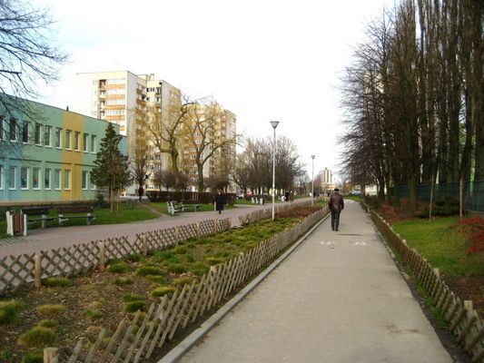 Aleja spacerowa na os. Tysiąclecia
Słowa kluczowe: osiedle Tysiąclecia
