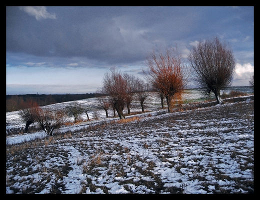Ciechomice zimą
Słowa kluczowe: Ciechomice