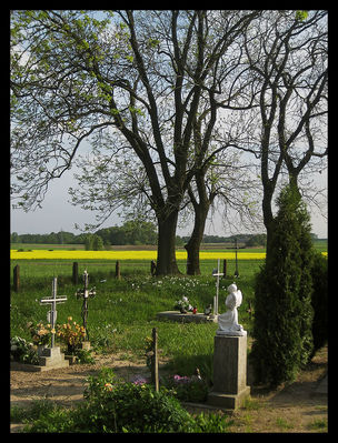 Dzieci
* * * *
Cmentarz w Radzanowie
Słowa kluczowe: okolice Płocka