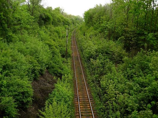 Tory kolejowe w jarze przy ZOO
Widok w kierunku wschodnim
