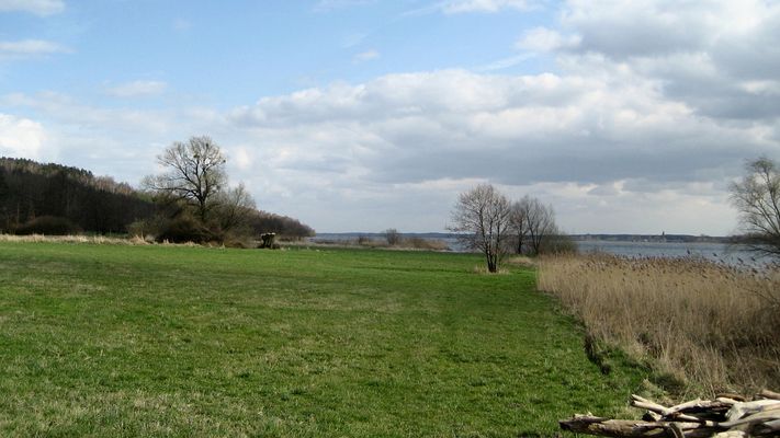 Nad Wisłą w Rokiciu
