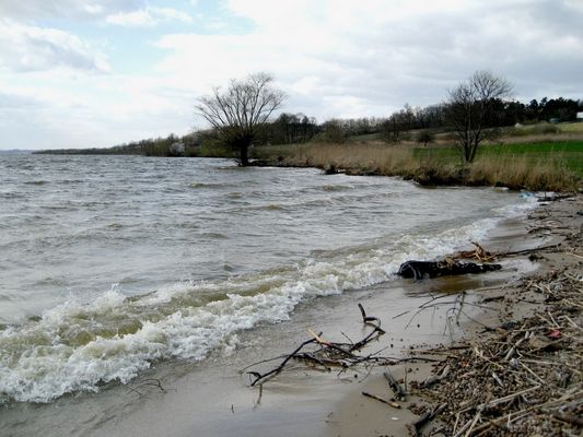 Wzburzone fale Wisły przy brzegu w Rokiciu
