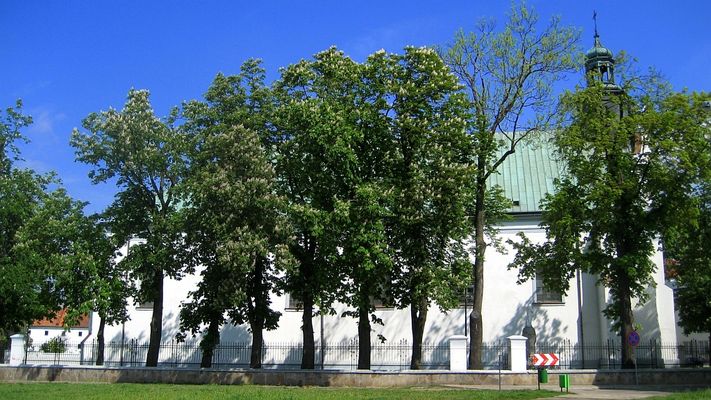 Kościół pw. św. Bartłomieja (Fara) - wśród kwitnących kasztanowców
