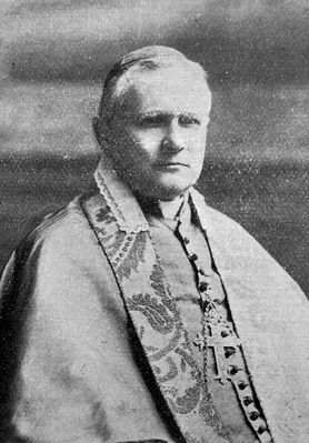 Arcybiskup Antoni Julian Nowowiejski - Biskup płocki (1908 - 1941)
"Płock - Monografia Historyczna"
