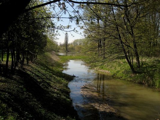 Wiosna w Borowiczkach
