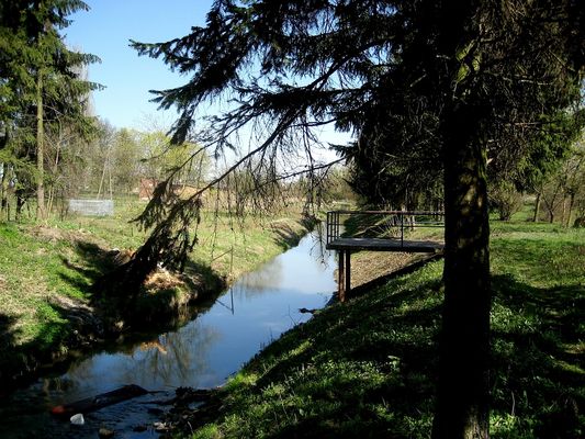 Rzeka Słupianka w Borowiczkach
