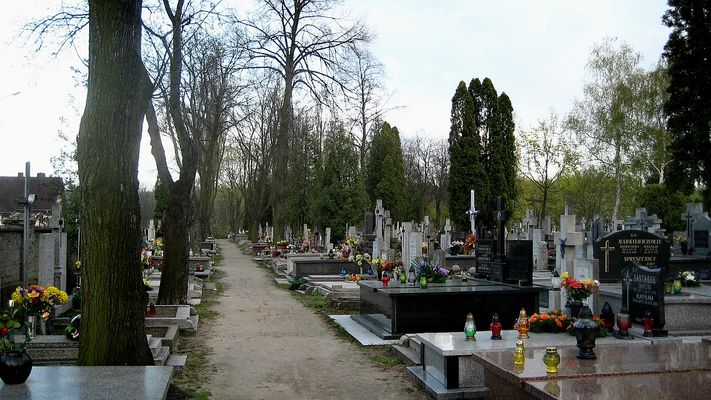 Cmentarz w Imielnicy
