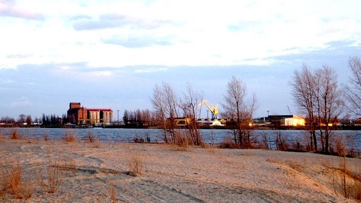 Nad Wisłą o zachodzie słońca - Widok na Radziwie
