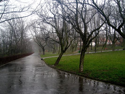Pierwszy dzień wiosny 21.03.2007r. - Park im. Władysława Broniewskiego w deszczu
