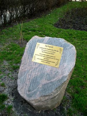 Kamień pamiątkowy wraz z tablicą poświęcony Dębowi Papieskiemu widocznemu w tle
