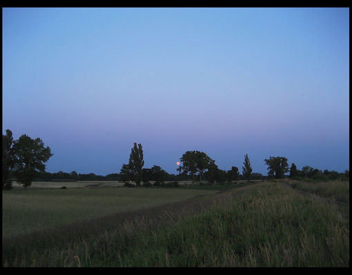Wschód Księżyca
Borowiczki
Słowa kluczowe: Borowiczki