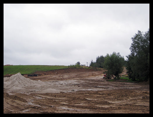 Budowa drogi dojazdowej do Mostu Solidarności - stan budowy w dniu 17.08.2008
Ciechomice - niwelacja drogi prowadzonej przez skarpę - widok w kierunku południowym i ul. Ciechomickiej
Słowa kluczowe: inwestycje