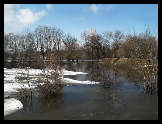 wysoka woda w Borowiczkach - 3 marca 2010 r.
* * * *
ujście Słupianki do Wisły
Słowa kluczowe: Borowiczki