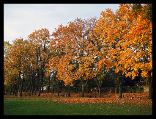 Park im. Władysława Broniewskiego
Słowa kluczowe: Park im. Władysława Broniewskiego