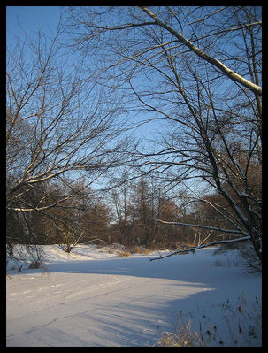 Zamarznięta Skrwa Prawa
Okolice mostku nad Skrwą Prawą między Kobiernikami i Radotkami
Słowa kluczowe: Skrwa Prawa