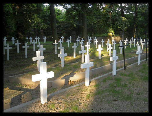 bielszy odcień bladości
* * * *
cmentarz przy ulicy Norbertańskiej
Słowa kluczowe: cmentarze