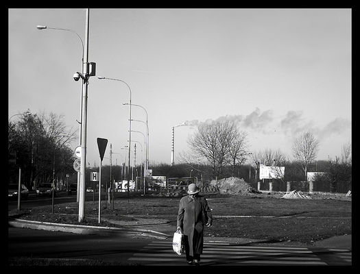 moje miasto, a w nim...
* * * *
...z kombinatu szary dym
Słowa kluczowe: kombinat