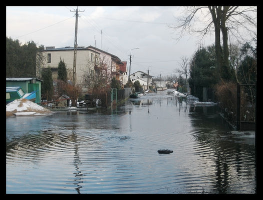ul. Gmury pod wodą
* * * *
os. Borowiczki - 3. 3. 2010 r.
Słowa kluczowe: Borowiczki