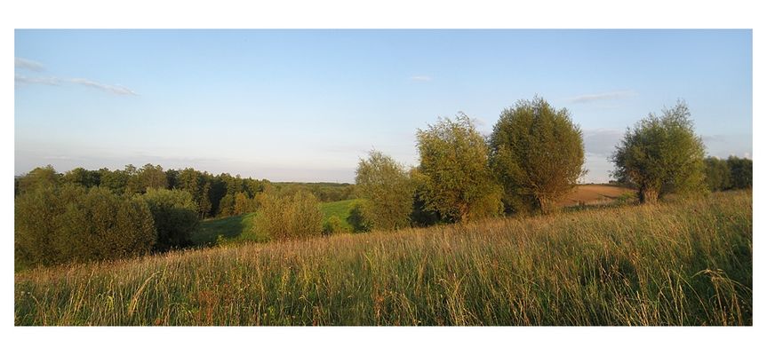 wspomnienie...
* * * *
jesień w pradolinie wisły
Słowa kluczowe: pradolina wisły