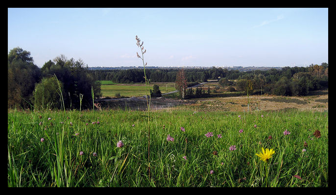 z dala od... miasta
* * * *
Pradolina Wisły
Słowa kluczowe: Pradolina Wisły