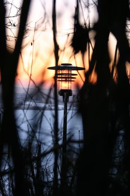 Tumy - zachód słońca za lampę
