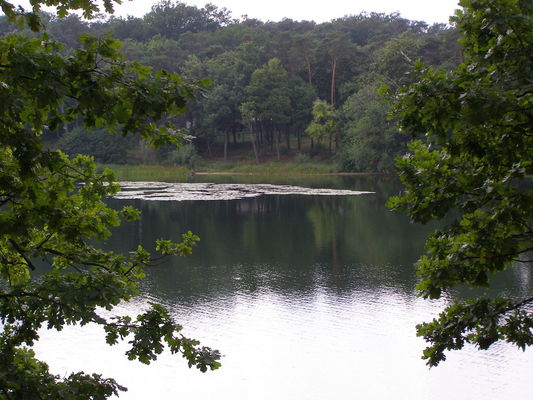 jezioro
jezioro w Grabinie
Słowa kluczowe: grabina jezioro