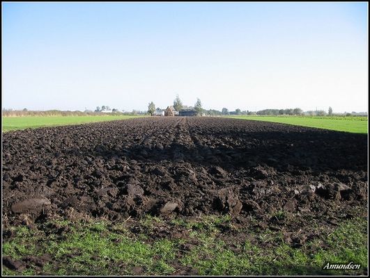 Okolice Gocłowa - niedaleko Blichowa
Słowa kluczowe: blichowo gocłowo bulkowo ziemia