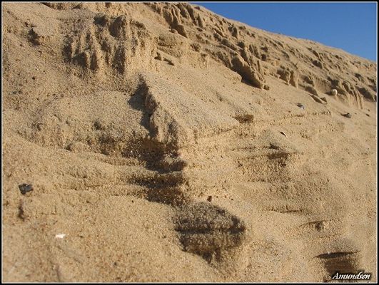 Piachy nad Wisłą
Słowa kluczowe: wisla rzeka piachy