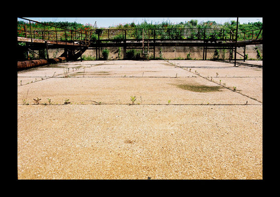 Na tyłach cukrowni w Borowiczkach #3
