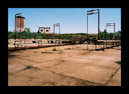 Na tyłach cukrowni w Borowiczkach #2
