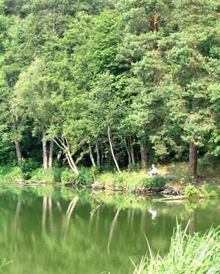 Jezioro Soczewka
Raj dla wędkarzy i nie tyllko. Widok od strony Stanicy Wodnej PZW
Słowa kluczowe: Stanica PZW