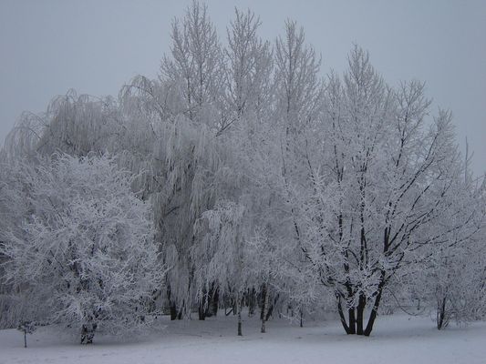 Międzytorze
Kawałek osiedla zimą
