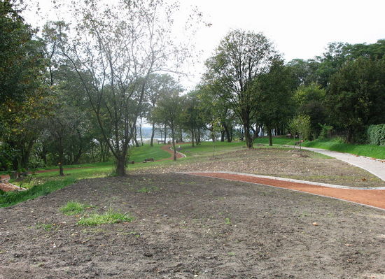 Zmodernizowany ciąg spacerowy na koronie skarpy
...za cmentarzem ewangielickim
Słowa kluczowe: skarpa ciąg spacerowy