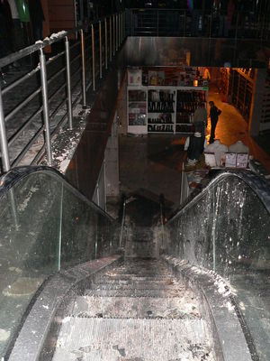 Tiger - Automatyczna Scieżka...
