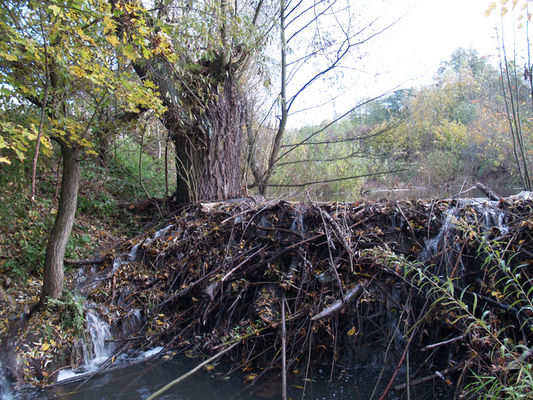 kto to wie gdzie to jest?
gdzieś w Płocku
