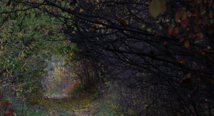 Tor saneczkowy - Parowa
Słowa kluczowe: parowa