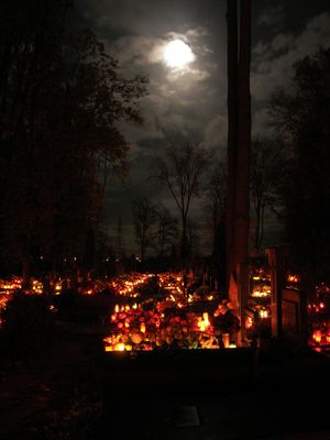 Zaduszki nocą w blasku księżyca
Cmentarz wieczorem "Norbertańska"
