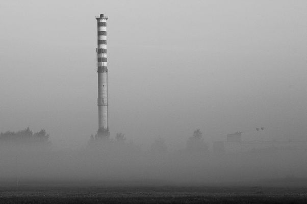 we mgle
niedoszła mleczarnia na radziwiu o swicie
