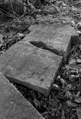 Sikórz
pozostałości cmentarza przy kościele parafialnym
