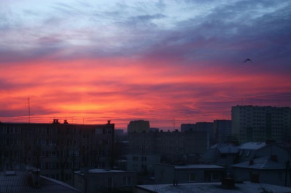 Późnojesienny poranek w Płocku
Pobudka kilka dni temu

Widoczne bloki na ul Północnej, Mickiewicza i Dworcowej

