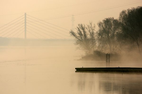 Fragment portu jachtowego z widokiem na Most Solidarności
