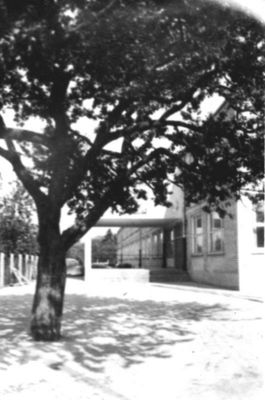 Szkoła Podstawowa nr 12
1965 r.
Słowa kluczowe: 12